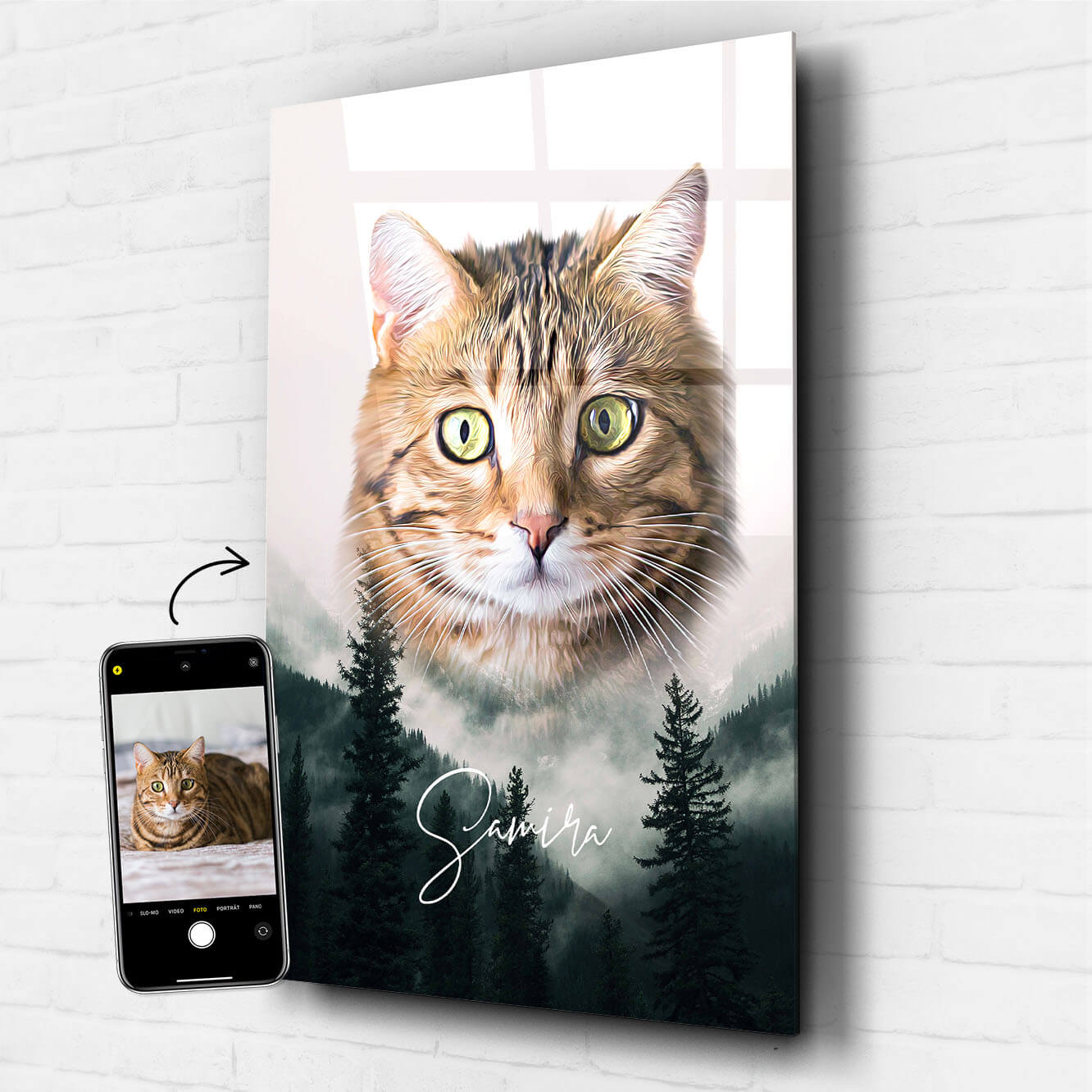 Katzenportrait auf Acrylglas